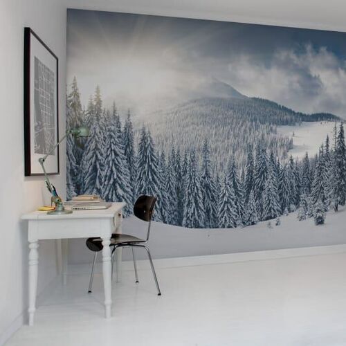 Mural Panorama Winter